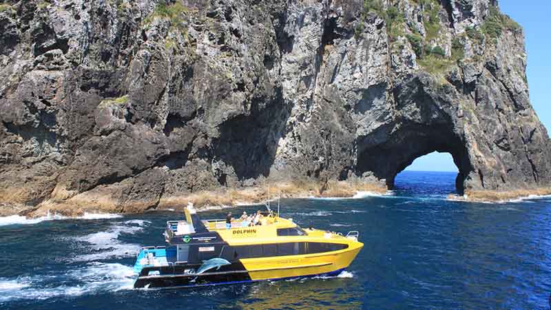 An amazing cruise adventure in the oceanic beauty of the Bay of Islands, a favourite holiday spot for New Zealander’s and visitors alike.